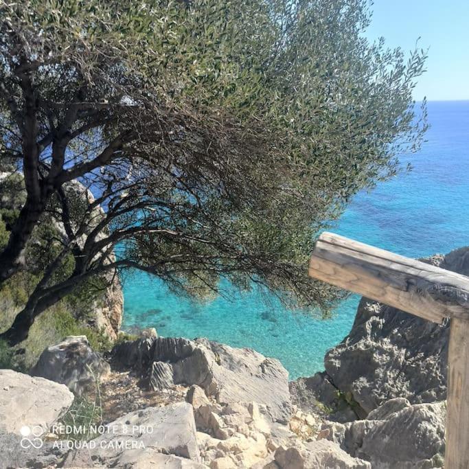 Haiku Home Cala Gonone Exteriér fotografie