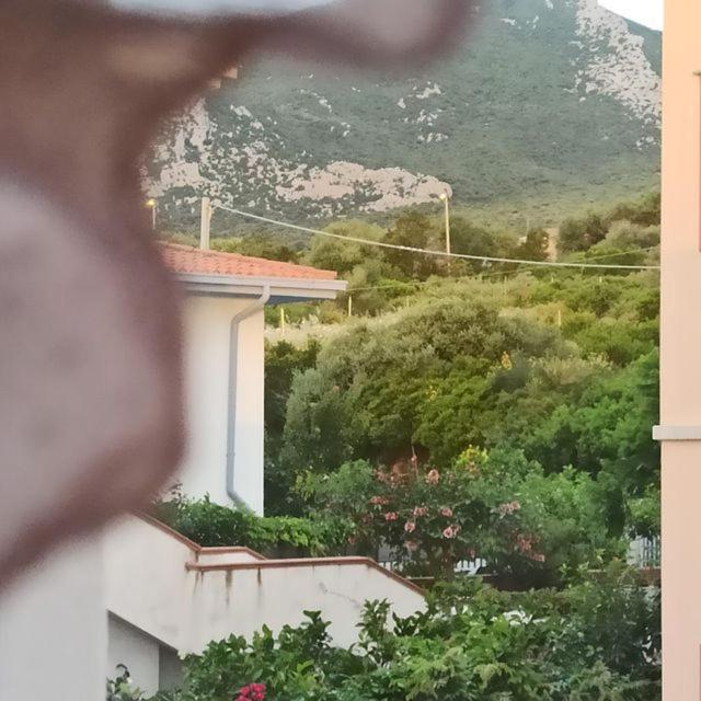 Haiku Home Cala Gonone Exteriér fotografie